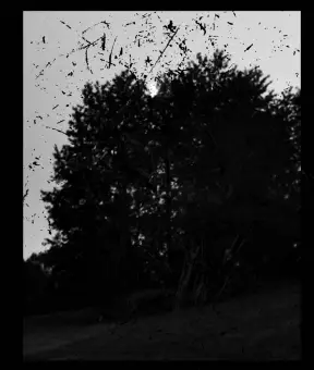 Råkall : Norra VI Råkall : Norra VI